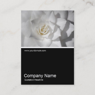 Tarjeta De Visita Half&Half Photo 0383 - Camellia blanca