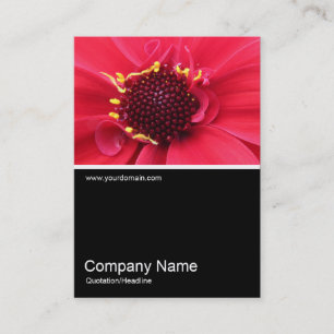 Tarjeta De Visita Half&Half Photo 0388 - Dahlia