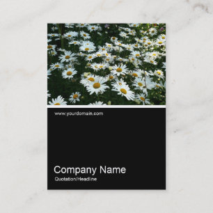 Tarjeta De Visita Half&Half Photo 061 - Daisies