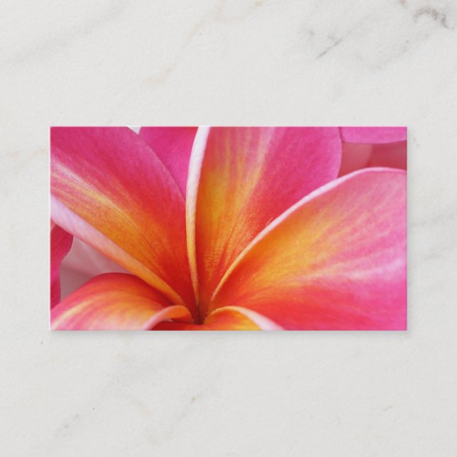 Tarjeta De Visita Hawaiian rosado de la flor de Hawaii del (Anverso)