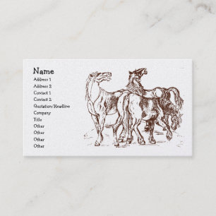Tarjeta De Visita heathershorses, nombre, dirección 1, dirección 2