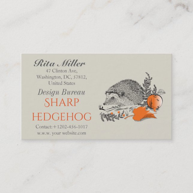 Tarjeta De Visita Hedgehog (Anverso)