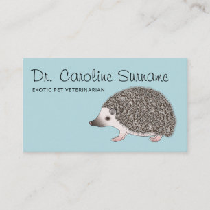 Tarjeta De Visita Hedgehog de los pigmeos africanos - Mascota exótic