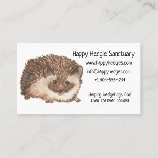 Tarjeta De Visita Hedgehog Feliz