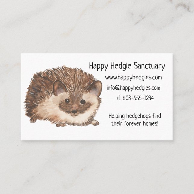 Tarjeta De Visita Hedgehog Feliz (Anverso)