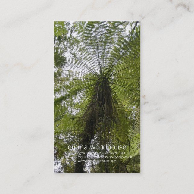 Tarjeta De Visita Helecho de árbol (Anverso)
