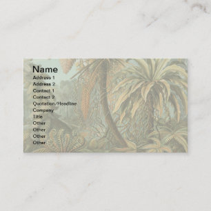 Tarjeta De Visita Helechos Palma Árbol Antiguo Arte Botánico Helecho