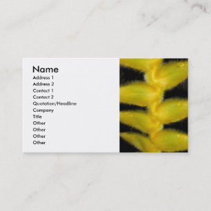 Tarjeta De Visita Heliconia hawaiano amarillo
