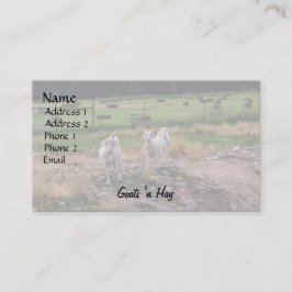 Tarjeta De Visita Heno de n de las cabras '
