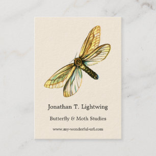 Tarjeta De Visita Hepialus humuli hembra - Ghost Moth o Ghost Swift