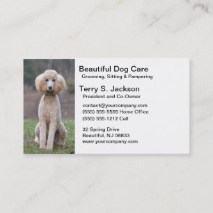Tarjeta de visita hermosa del cuidado del perro