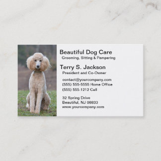 Tarjeta de visita hermosa del cuidado del perro