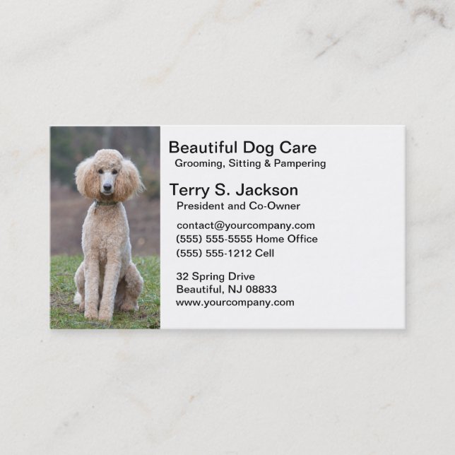 Tarjeta de visita hermosa del cuidado del perro (Anverso)