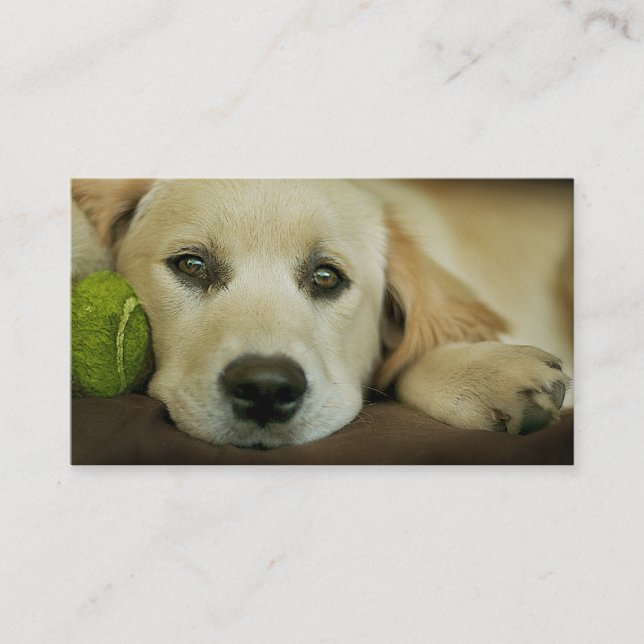 Tarjeta de visita hermosa del perrito (Anverso)