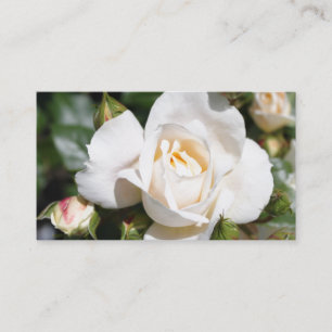 Tarjeta De Visita Hermosa, elegante flor de rosa blanca profesional