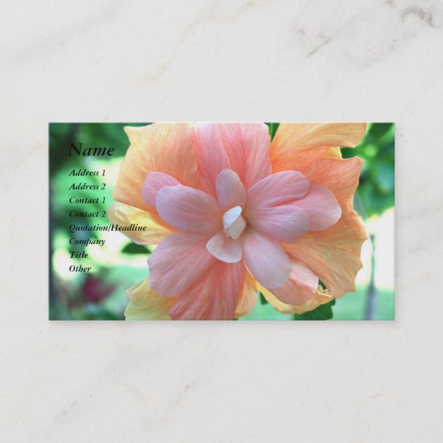Tarjeta De Visita Hermosa flor amarilla, Naranja y rosa de Hibiscus (Anverso)