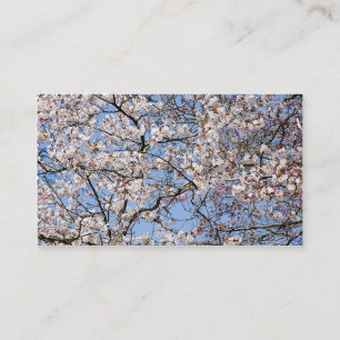 Tarjeta De Visita Hermosa floración