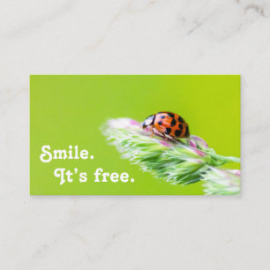 Tarjeta De Visita Hermosa mariquita con cita motivadora positiva