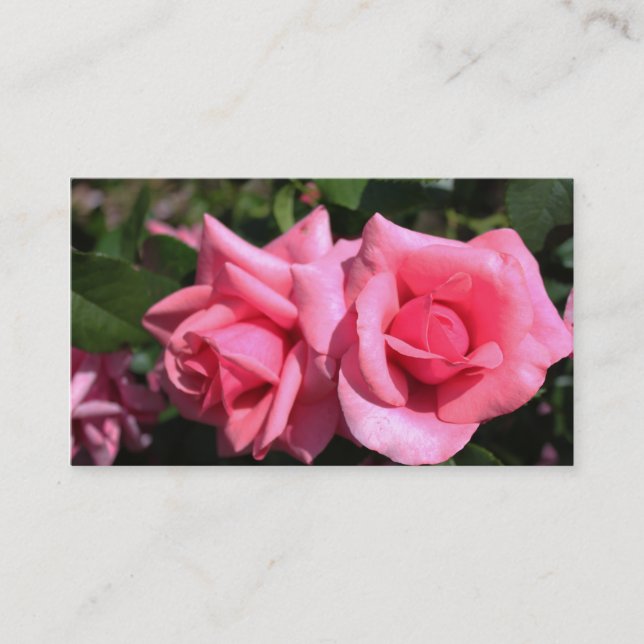 Tarjeta De Visita hermosas flores dobles perfectas de rosa rosa cali (Anverso)