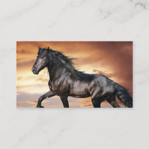 Tarjeta De Visita Hermoso caballo negro