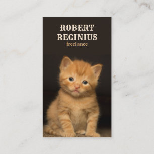 Tarjeta De Visita Hermoso Gato