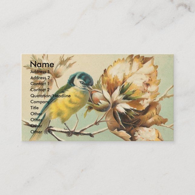 Tarjeta De Visita Hermoso pájaro vintage (Anverso)
