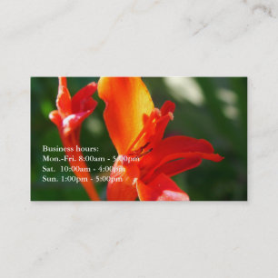 Tarjeta De Visita hermoso perfil de flores rojas de verano