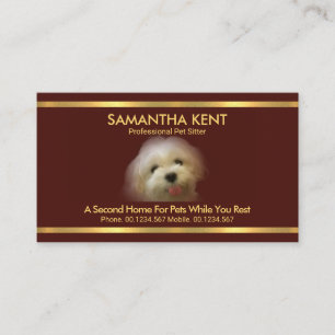 Tarjeta De Visita Hermoso perro maltés rojo rayas de oro Mascota Si