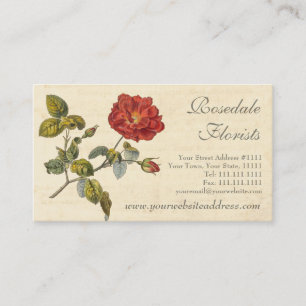 Tarjeta De Visita Hermoso Rosa de época roja de moda