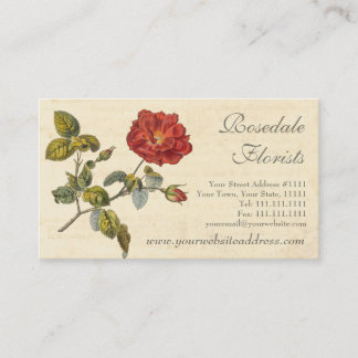 Tarjeta De Visita Hermoso Rosa de época roja de moda