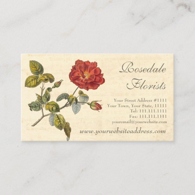 Tarjeta De Visita Hermoso Rosa de época roja de moda (Anverso)