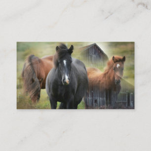Tarjeta De Visita Hermosos caballos y establos rústicos