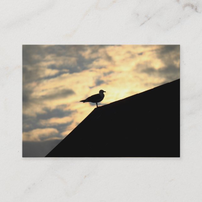 Tarjeta De Visita Herring Gull Sunset (Anverso)