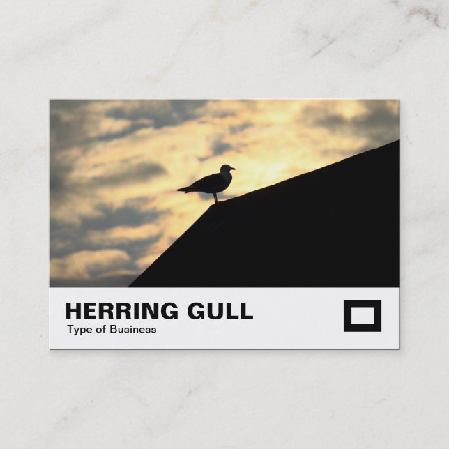 Tarjeta De Visita Herring Gull Sunset (Anverso)