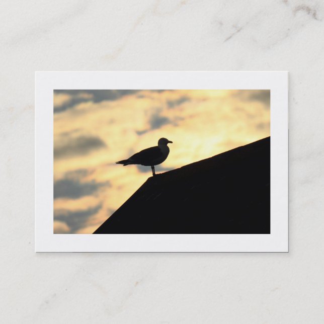 Tarjeta De Visita Herring Gull Sunset (Bordeado) (Anverso)