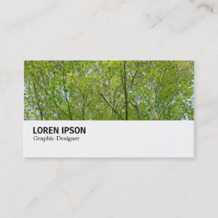 Tarjeta De Visita Hi-Phi - 0248 - Maple japonés