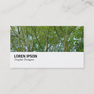 Tarjeta De Visita Hi-Phi - 0249 - Maple japonés