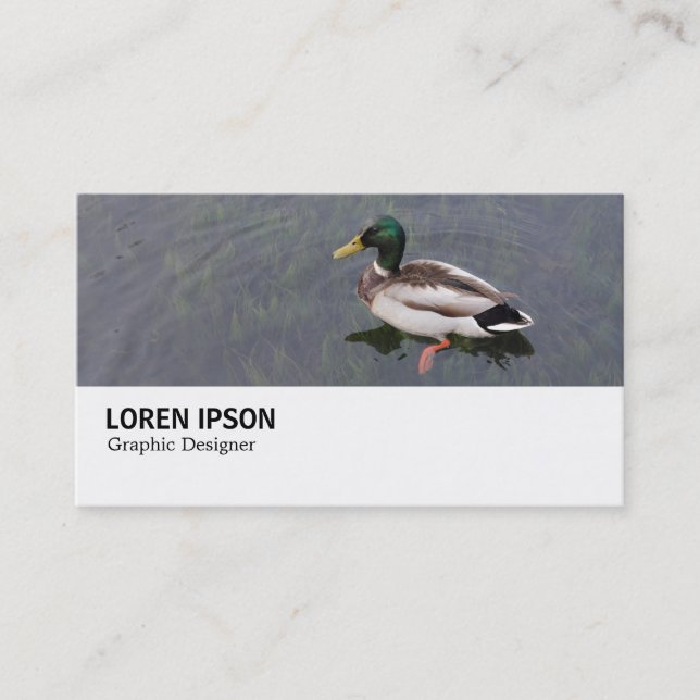 Tarjeta De Visita Hi-Phi - 0282 - Pato Mallard (Anverso)
