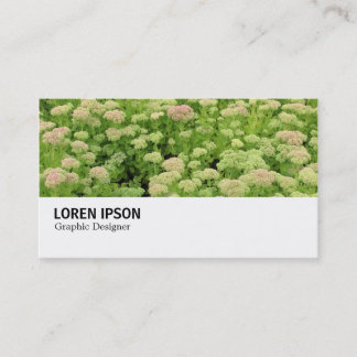 Tarjeta De Visita Hi-Phi - 0311 - Sedum (Alegría de otoño)