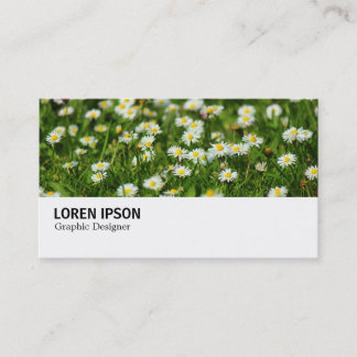 Tarjeta De Visita Hi-Phi - 0388 - Daisy Meadow