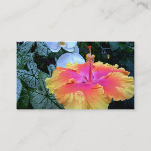 Tarjeta De Visita hibisco