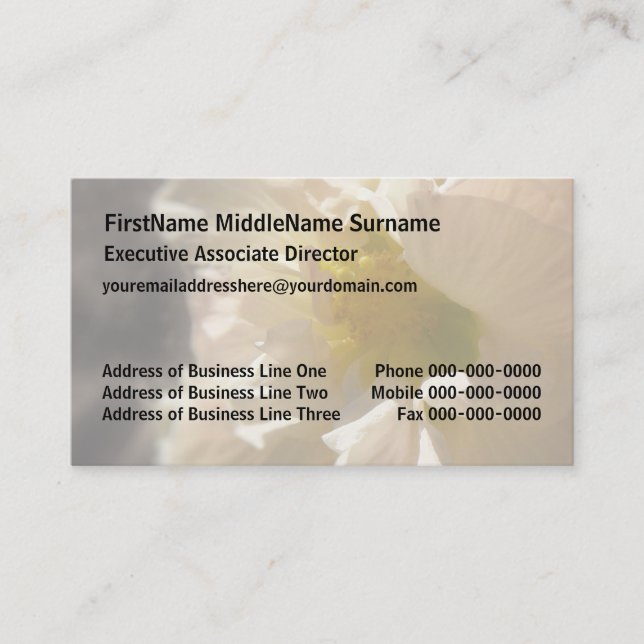 Tarjeta De Visita Hibiscus Pink sobre Sepia (Anverso)