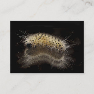 Tarjeta De Visita Hickory Tussock oruga ATC