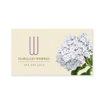 Hidrangeas floristas de cosecha