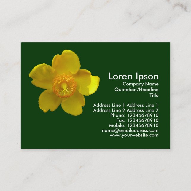 Tarjeta De Visita Hipericum Hidcote (hierba de San Juan) Verde oscur (Anverso)