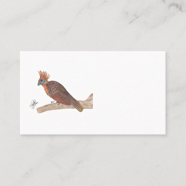 TARJETA DE VISITA HOATZIN (Anverso)