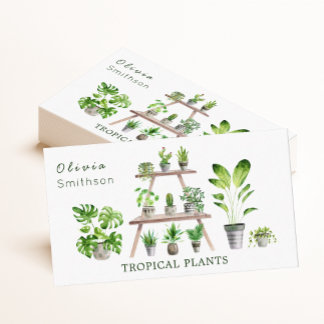 Tarjeta De Visita Hogar y planta suculenta botánica