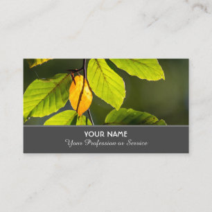 Tarjeta De Visita Hojas de otoño coloridas en la puesta de sol dora