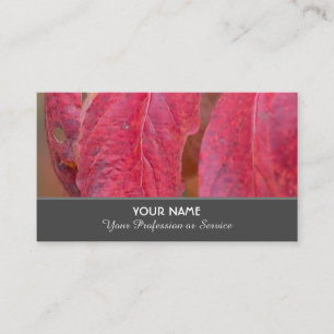 Tarjeta De Visita Hojas de otoño coloridas en verano indio