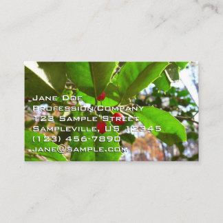 Tarjeta De Visita Holly Leaves II Naturaleza de las vacaciones Botán